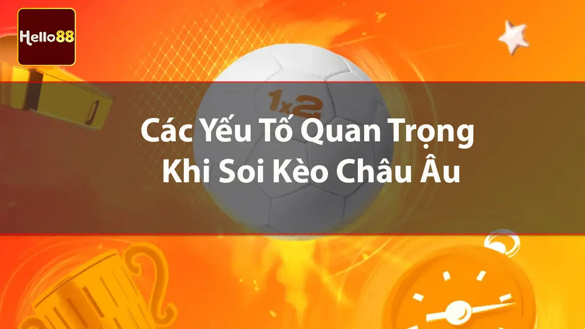 Các yếu tố quan trọng