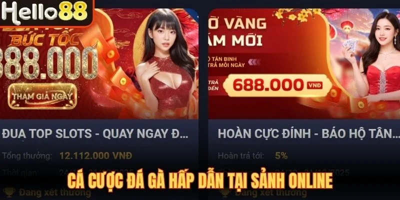 Cá cược đá gà hấp dẫn 2026