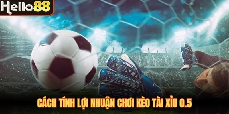 Cách tính lợi nhuận chơi kèo tài xỉu 0.5